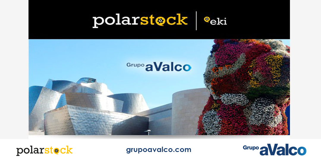 polar stock grupo avalco