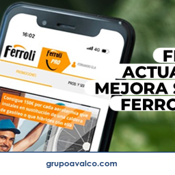 Ferroli enero 2024