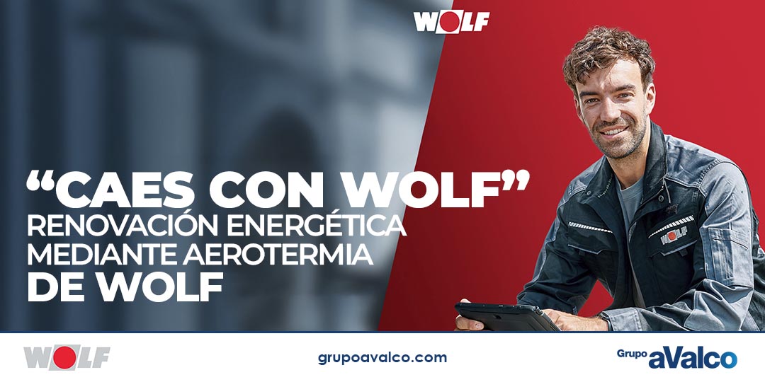 260601_Wolf copia